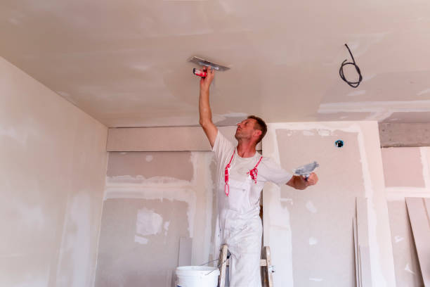 Best Drywall Removal and Disposal  in Conehatta, MS